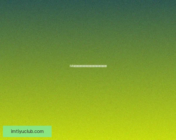 IM体育平台推荐与评测助你轻松选择最佳体育博彩体验