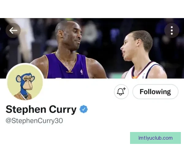 IM体育app下载:全方位解读最新版本下载与使用指南 IM体育app下载:全方位解读最新版本下载与使用指南