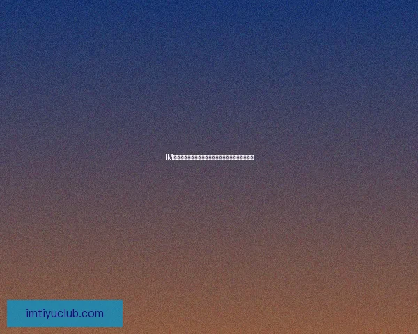 IM体育平台推荐与评测助你轻松选择最佳体育博彩体验