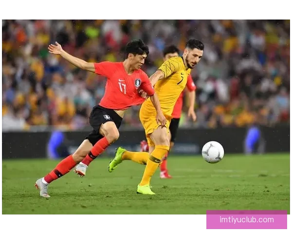 世界杯赛事全面解析与投注技巧深度指南全面提升竞猜胜率